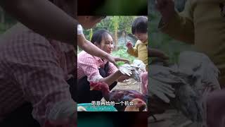 舊情人帶來姐妹雙胞胎！你如何應對這種尷尬局面？臺灣人直呼……