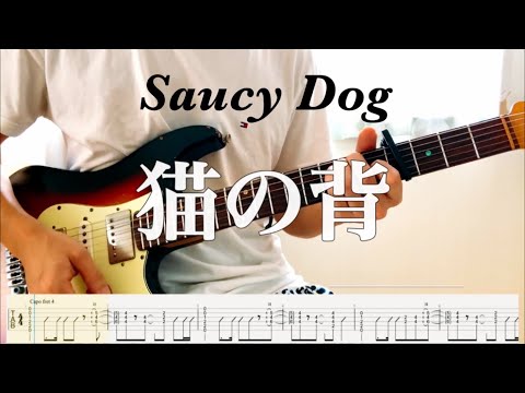 【Saucy Dog】猫の背 guitar cover 【TAB】