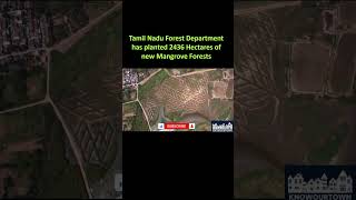 New Mangrove Forests at Tamil Nadu  #chennai #tamilnadu #trending #news #flash #viral #forest