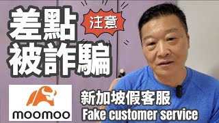 注意-新加坡富途牛牛MooMoo的假客服 機長差一點被騙 Money Market Fund平台 我真的用了不少#moomoo #投資 #利息