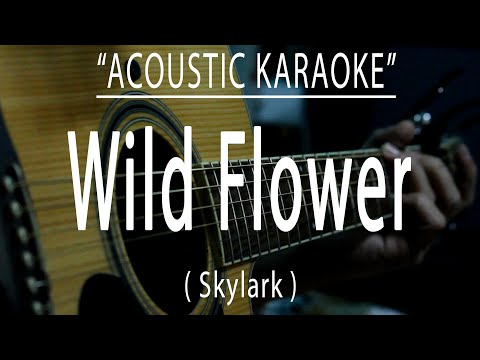 Wild Flower - Skylark (Acoustic karaoke)