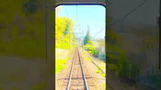 【近鉄】吉野線臨時快速急行’さくら号’ #shorts #train #railway