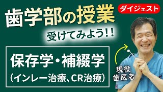 歯学部の授業受けてみる⁉︎保存修復学（インレー治療、CR治療）【夢デン歯科大学 /3限目ダイジェスト】