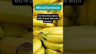 Banana Connection: Exploring Our DNA Bond! #Shorts #BananaDNA