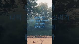 #명상#마음수련#계룡산 신원사#새벽안개#10월의 어느날#함께#마음의 평화#감사#korea beautiful#미스터 트롯#김호중#meditation