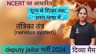 RPSC Deputy Jailor Bharti 2024 I तंत्रिका तंत्र  भाग -1 I By Divya Mam