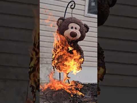 I TORCHED A Cute Brown Teddy Bear    Here's What Happened! 🔥