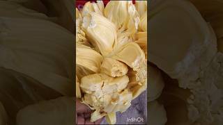 How to cut ripe Jackfruit #shorts #shortvideo #jackfruit