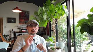 杭州人喝的所谓“粪水”到底是啥：网传信息基本都是错的，但问题远比这些错误信息严重｜仁和水务｜余杭｜良渚｜苕溪