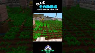 村人式 全自動農場 ニンジン ジャガイモ ビートルート 【Minecraft】 1.21 #minecraft  #bedrock #統合版 #マインクラフト #shortvideo #マイクラ