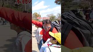 大阪のちびっこガイドに外国人ファミリー大盛り上がり☺️ #英会話 #英語 #ボランティアガイド