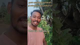 spoken English sentences in Tamil#spokenenglishintamil#learnspokenenglishthroughtamil