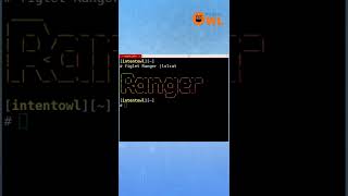 Navigate your linux terminal with ranger