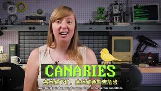 计算机科学： 32 黑客&攻击-Hackers & Cyber Attacks