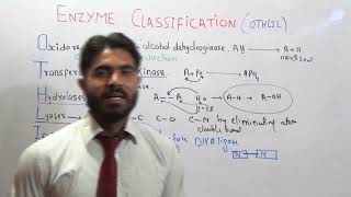 Classification of Enzyme easy to understand in English