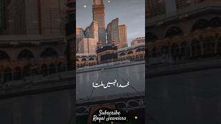 Ali Mola 🙏🏻 Ali Mola 🙏🏻 #shorts #viralvideo #status #unfak #qawali