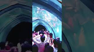 #trending #shorts_video #viral #hindi