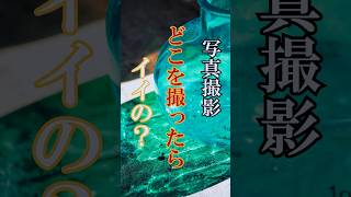 【風景写真・スナップ写真】写真撮影 どこを撮ったらイイの！？ #フォトコンテスト #ミラーレスカメラ #フレーミング #構図 #レタッチ #トリミング 