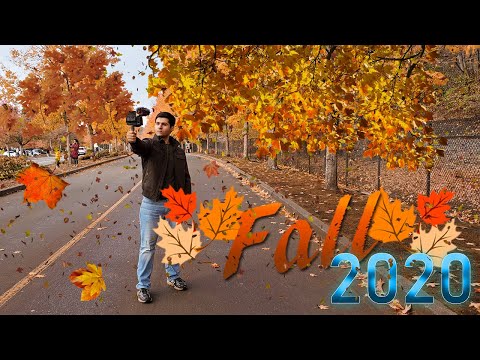 The Best Vlogging Camera Ever in 2020 Urdu Vlog | Vlog #20