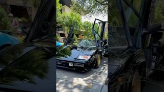 Lamborghini Countach 5000 Quattrovalvole. - Only 610 of these examples were made.