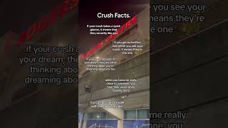 Crush Facts.