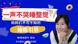 2022睡眠训练成功攻略 | 宝宝不哭一声就可以一觉睡到天亮 | 不可不知道的科学睡眠引导 | 教你如何抓住时机，观察规律，认识孩子个性【晚安宝贝】