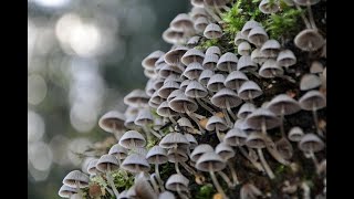 10 Interesting Scientific Discoveries for April of 2025