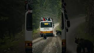 #WildAnimalsnatury#WildAnimals #Wildlife #NatureLovers#MountainSplit  #EpicNature
