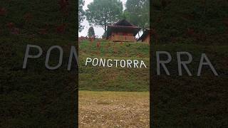 Ambil cutimu ayo ke toraja #lolai#negeridiatasawan #pongtorra#puncaklolaitertinggi