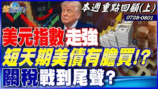 美元指數走強 台幣走緩貶格局？短天期美債有膽買！？ 影響美中談判 賴總統過境美被拒？ 關稅戰到尾聲？｜20250728-20250801【本週重點回顧 上】