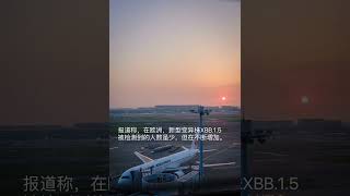 最新时事新闻：世界卫生组织建议长途旅行的游客在飞机上佩戴口罩