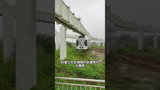 火車掛在半空中，沒有鐵軌也能跑，中國人竟然把火車開到天上，中國基建真實太牛了！#amazing #旅行大玩家 #中国基建 #旅行 #大美中國 #travel #china #shorts