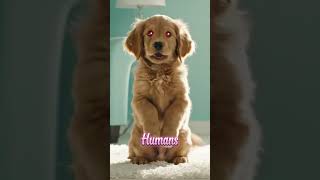 AI Puppy Has Something to Say 🐶⚠️ #darkhumor #aiwarning #softapocalypse