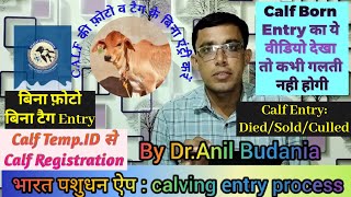 Calving Entry in Bharat Pashudhan App  l Calf Born entry की पूरी प्रक्रिया