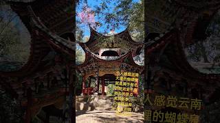 中国云南大理旅游-个人建议避雷景点1-蝴蝶泉