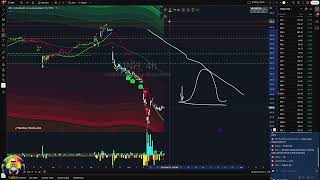 UNH Trade  Whale Signals & Rainbow Theory Analysis!
