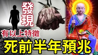 #佛禪 生命即將完結！一定會有「以下特徵」死前半年就有預兆？ 要遠離死亡痛苦！一定要聽佛菩薩說！