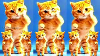 Pok Ame Ame Belalang Kupu-kupu - Animasi Kucing Lucu Joget