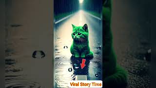 Sad Cat crying on a busy road|Maiw miaw miw miw #dudidudidam #cutecat #kitty #cat #catblogger#sadcat