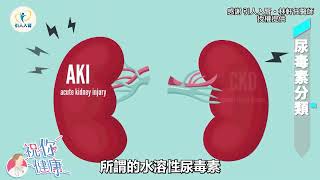 比草酸棘手！「1類尿毒素」洗腎難洗掉！腎臟醫揭「尿毒素」危害：多併發症「１類」慘害血管硬化！｜祝你健康