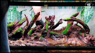 Amazing beautiful Aquarium Setup: Betta Fish, Goldfish, and Koi Fish#382