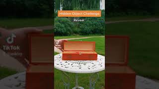 Hidden Object Challenge: Reveal