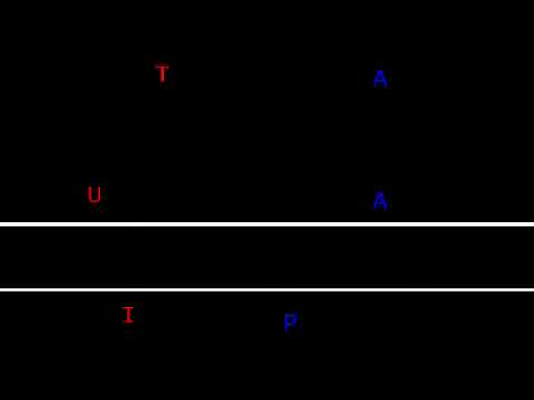 Guitar vs Piano (Letters battle)