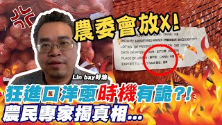 農委會狂進口洋蔥"時機"有詭?! 農民專家揭真相... @中天新聞CtiNews