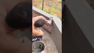 Professional cement wall construction