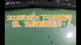 2025/3/21 田寮河海鰱釣遊