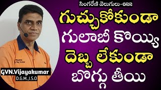 గుచ్చుకోకుండా గులాబీ కొయ్యి - దెబ్బ లేకుండా బొగ్గు తియ్యి // Pink without plus - coal without blow