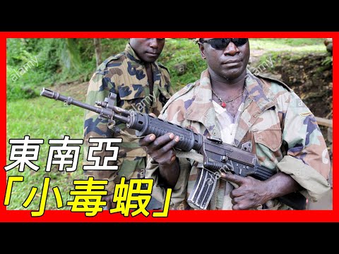 源自SAR 80突擊步槍，長程活塞氣動式和旋轉式槍機的設計，SR-88突擊步槍