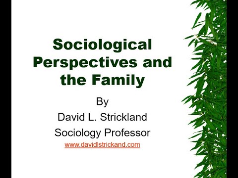 Insights of Sociological Paradigms on the Family (brief version)