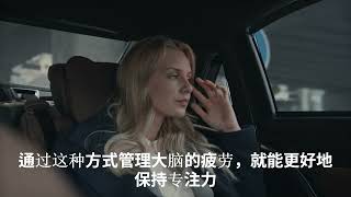 脑科学揭示的“专注力”秘密：打造不分心的头脑